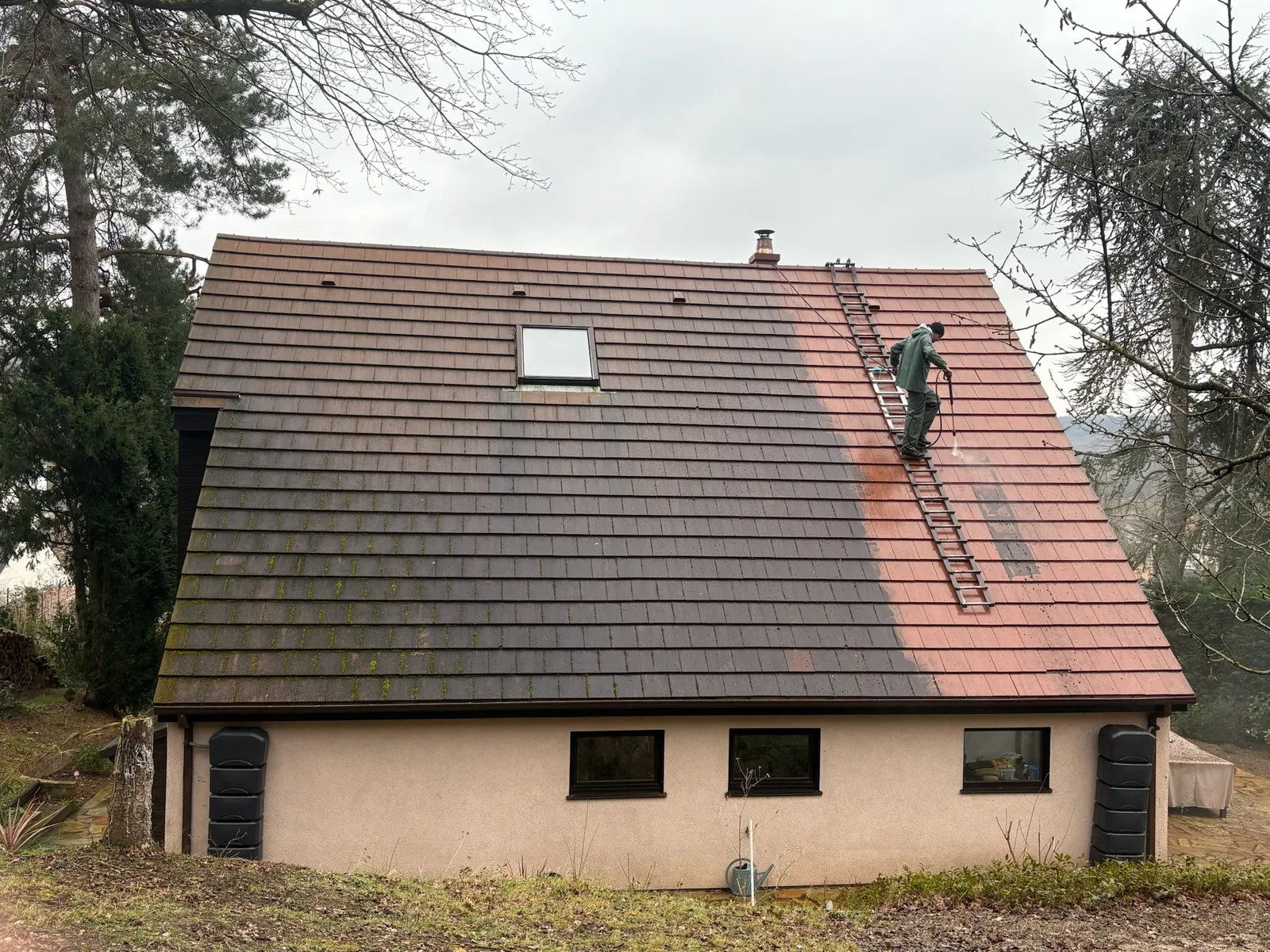 Couvreur Adnot nettoyant la toiture d'une maison bordée d'arbres